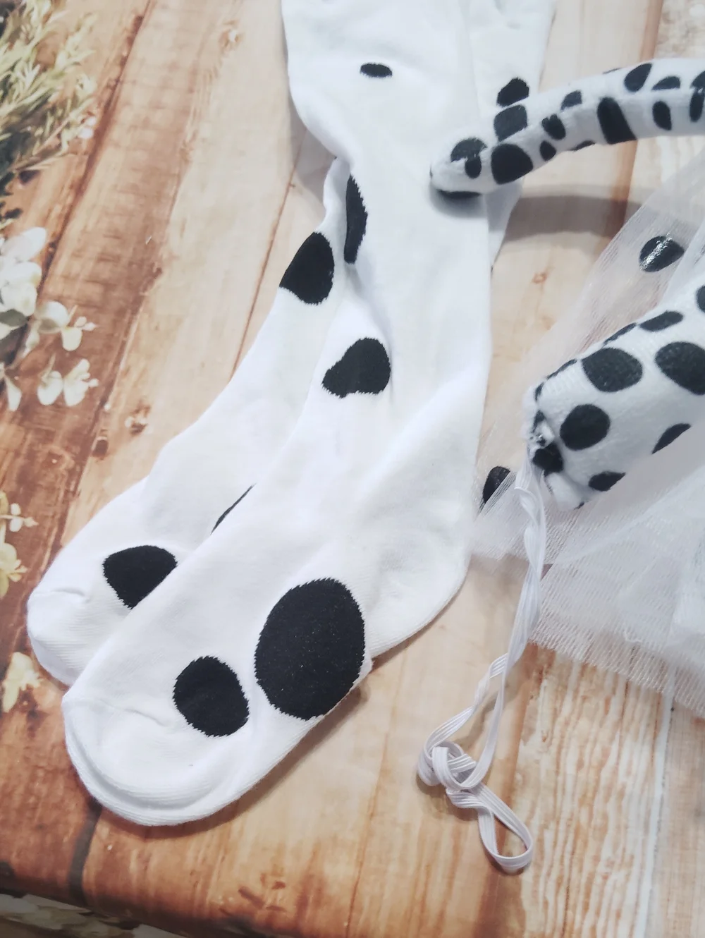 N/A cute dalmatian